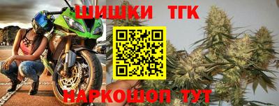 индика Беслан