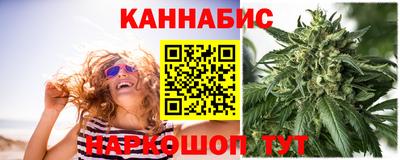 индика Беслан