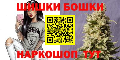 индика Беслан