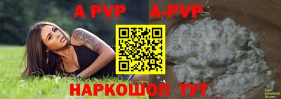 индика Беслан