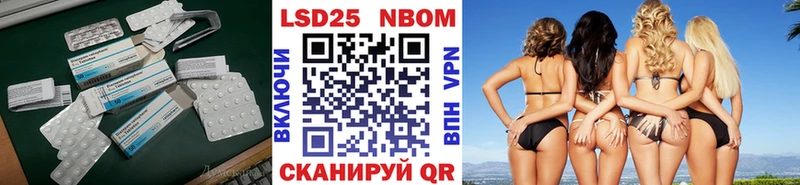 LSD-25 экстази кислота  kraken зеркало  Губкинский 