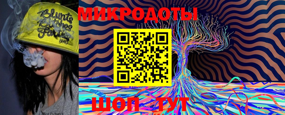 Галлюциногенные грибы Psilocybine cubensis  Губкинский 