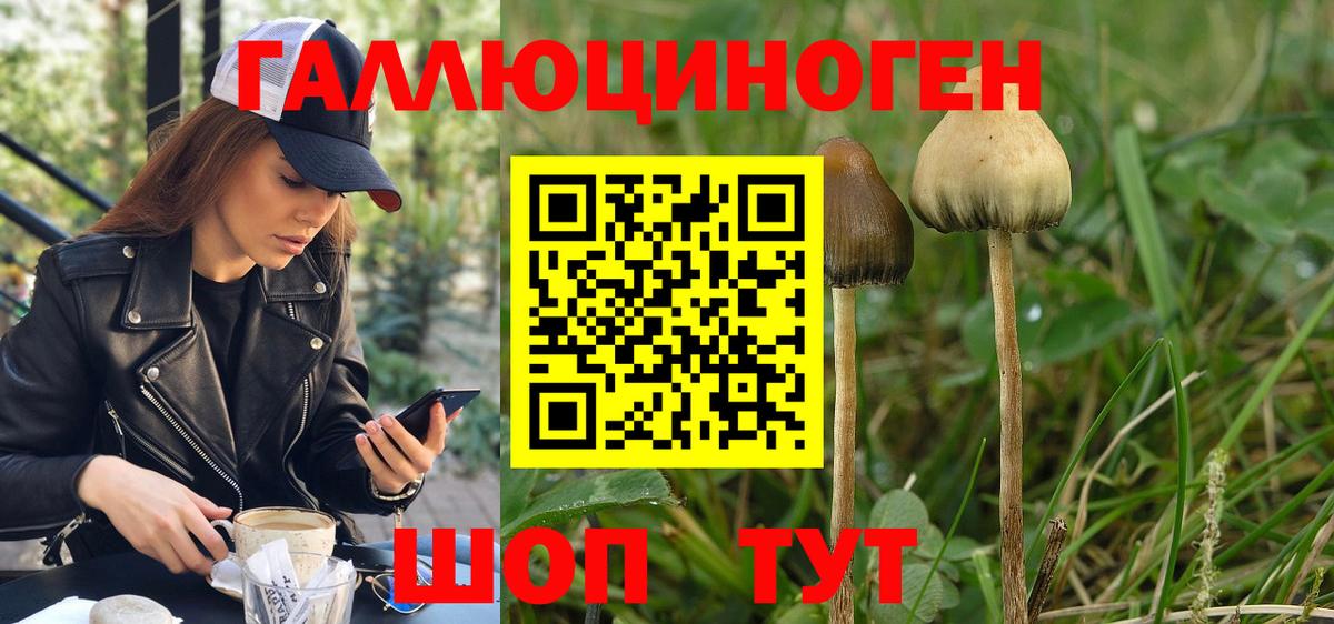 Галлюциногенные грибы GOLDEN TEACHER Губкинский