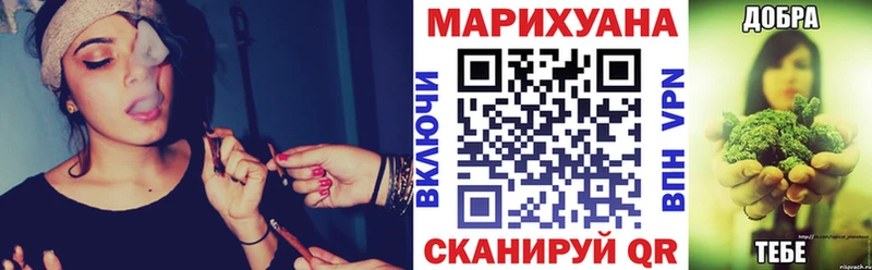 купить   Губкинский  МАРИХУАНА планчик 